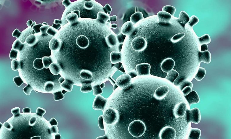 Corona Virus